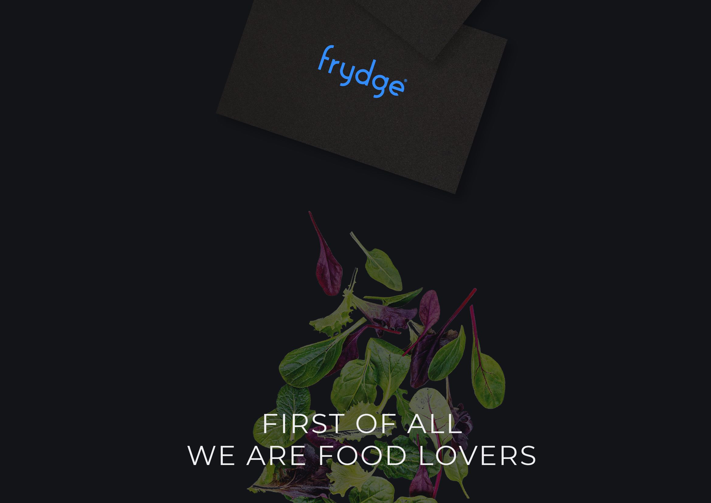 Frydge logo and identity design